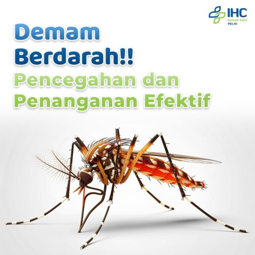 RS PELNI - Demam Berdarah